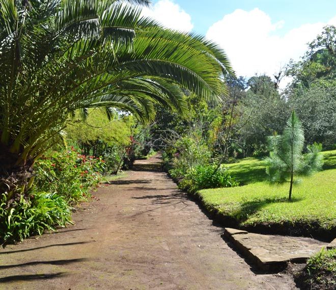 Terrenos San Juan Sacatepequez